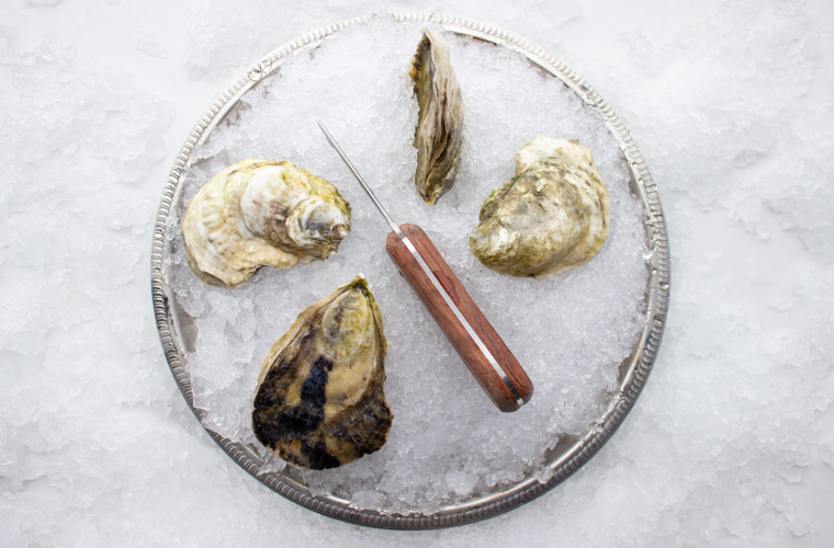 Quonnie Rock Oyster — Oysterology Online Pangea Shellfish Company